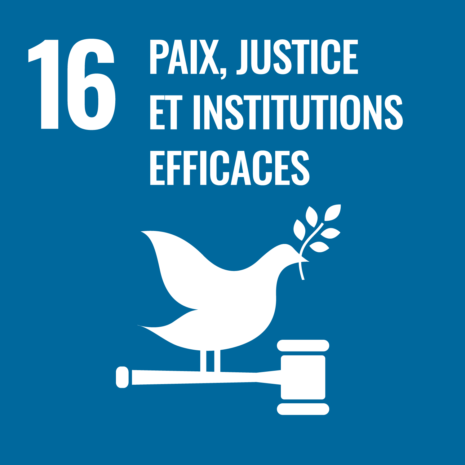 Peace, Justice and Strong Institutions