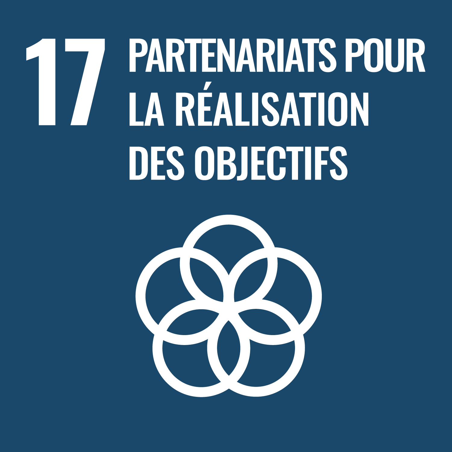 Partnerships for the Goals